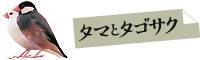 ^}ƃ^STN